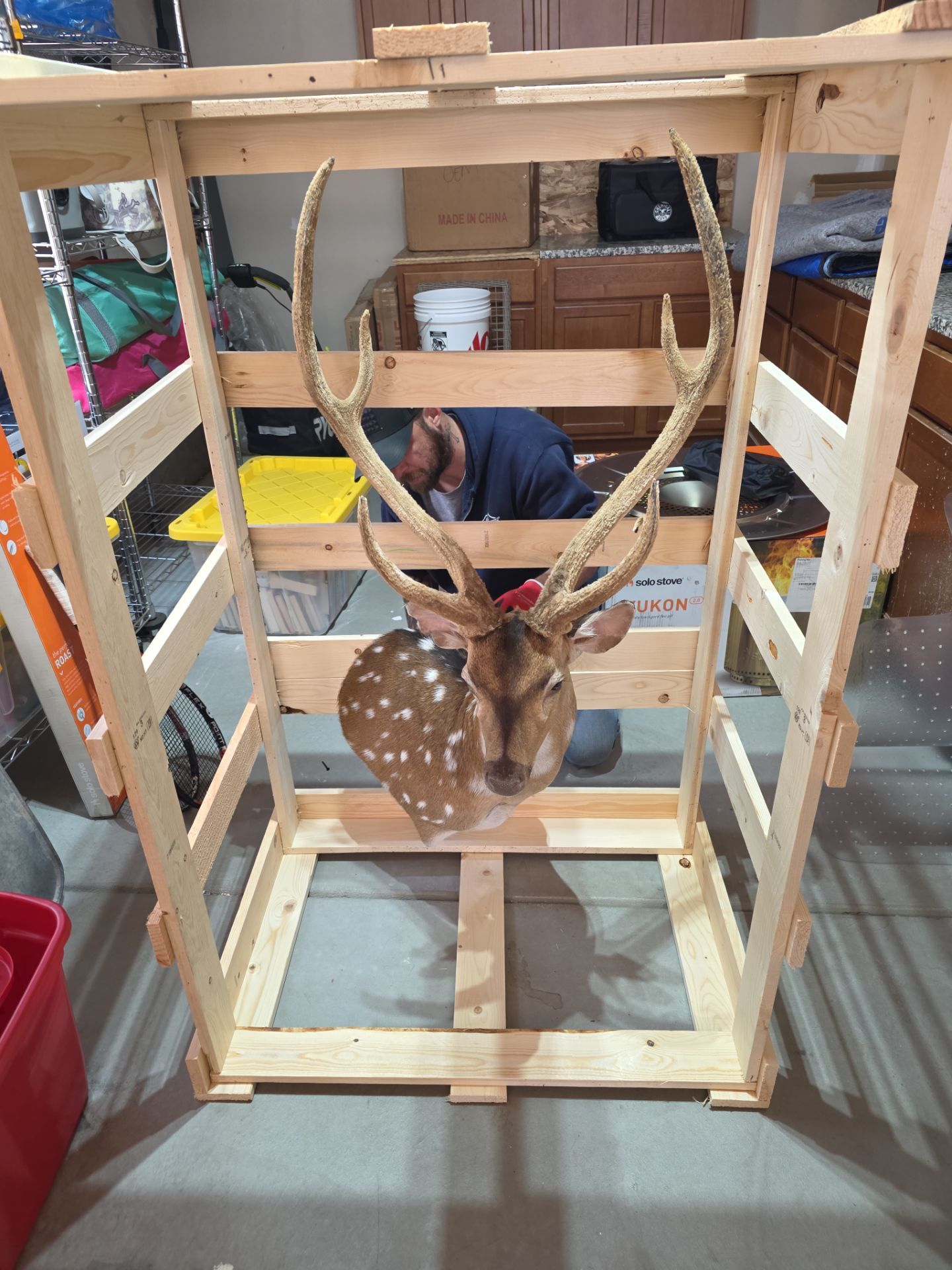Taxidermy deer mount being secured inside a custom wood crate